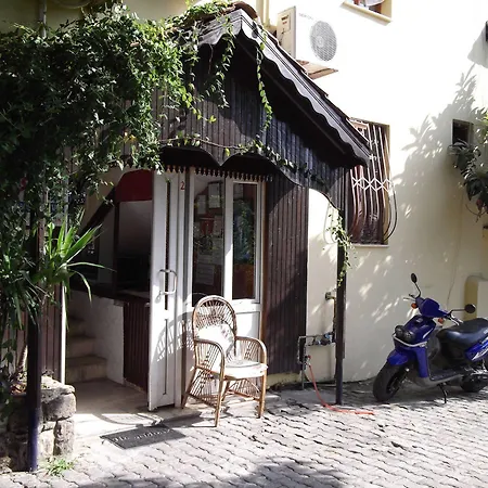 Selen Side