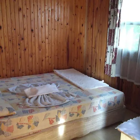Selen 3*